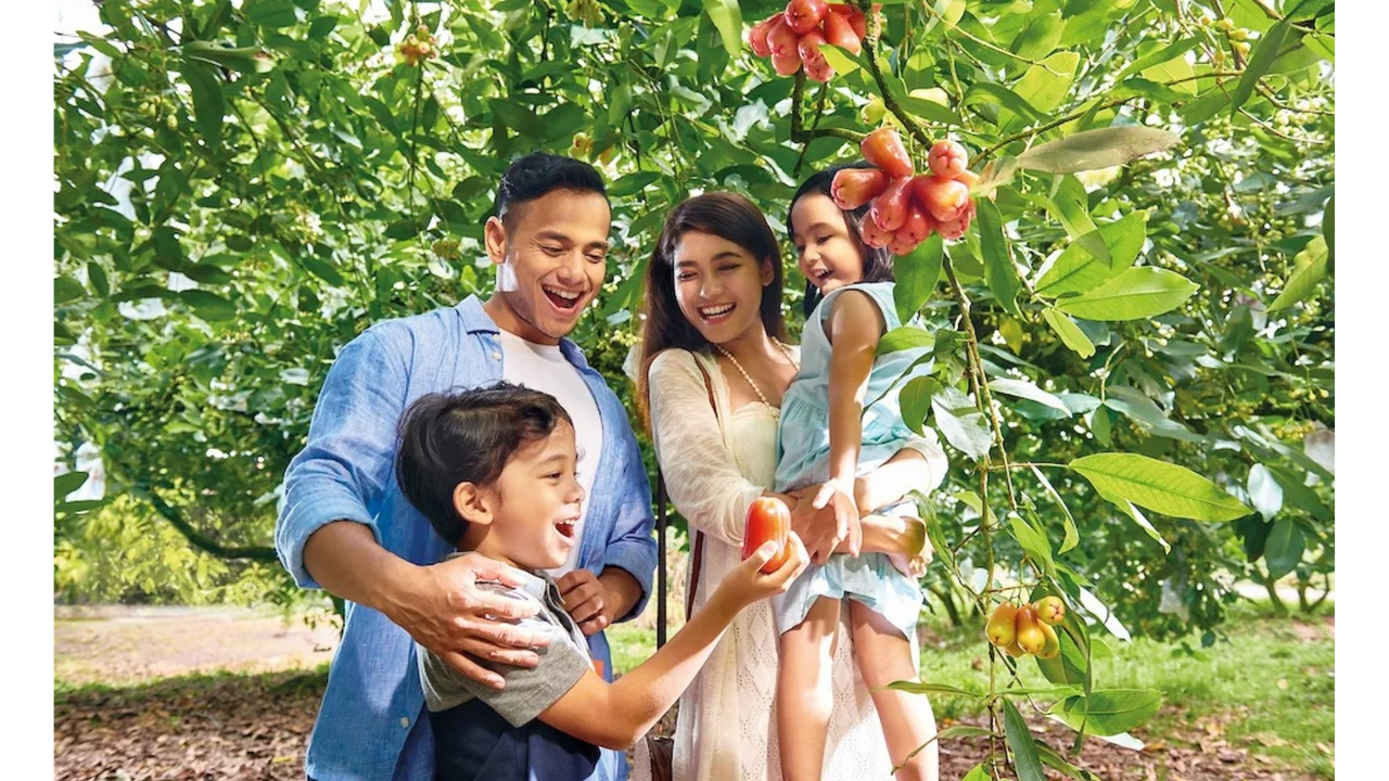 Desaru Fruit Farm