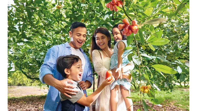 Desaru Fruit Farm